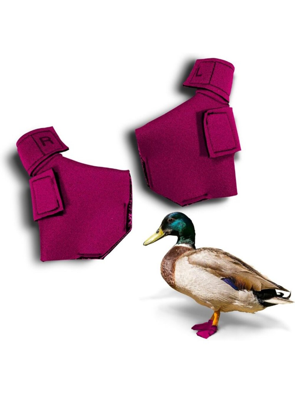 Protective Neoprene Duck Shoes for Injured Feet - Bumblefoot Relief, Medium Pink
